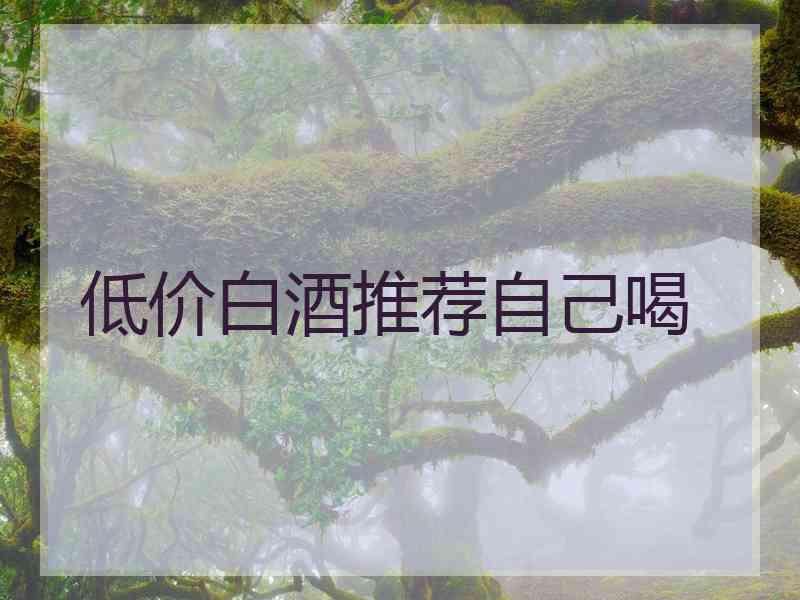 低价白酒推荐自己喝