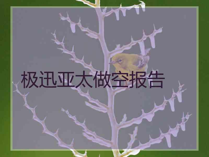 极迅亚太做空报告