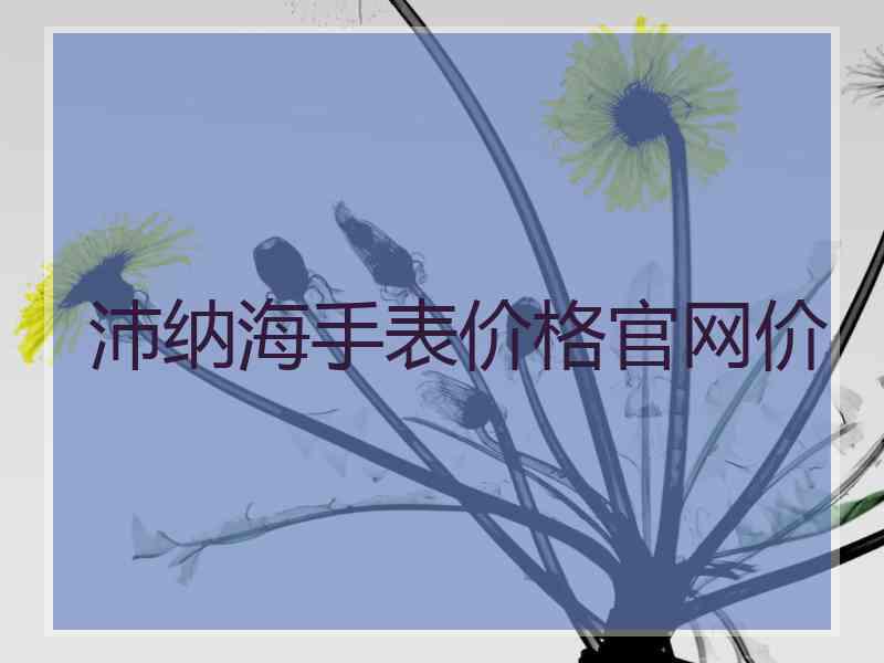 沛纳海手表价格官网价