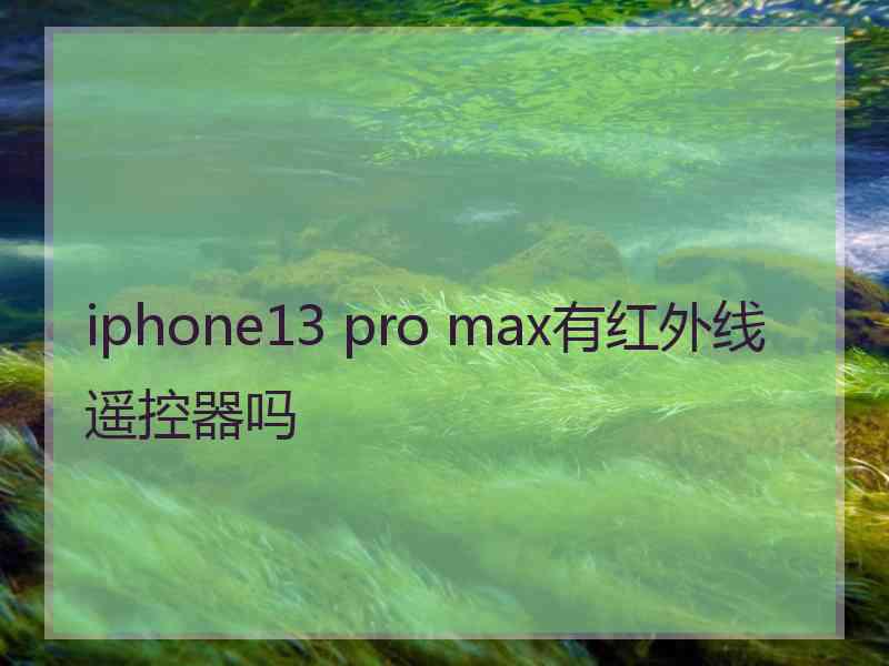 iphone13 pro max有红外线遥控器吗