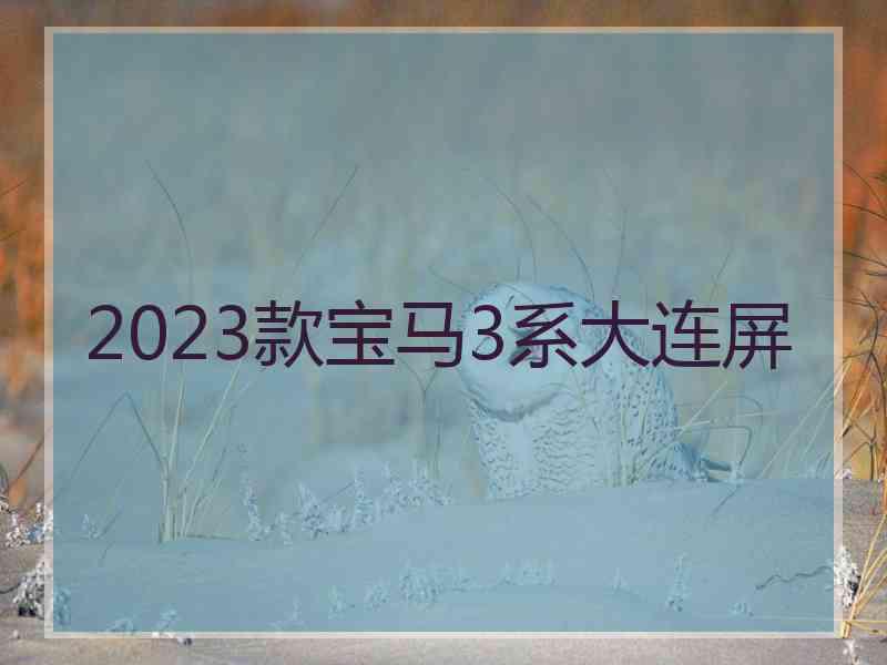 2023款宝马3系大连屏