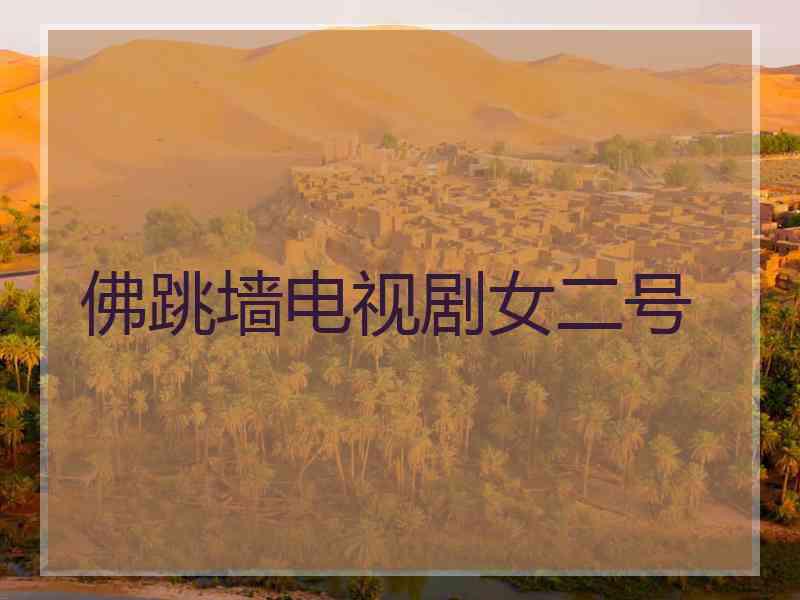 佛跳墙电视剧女二号