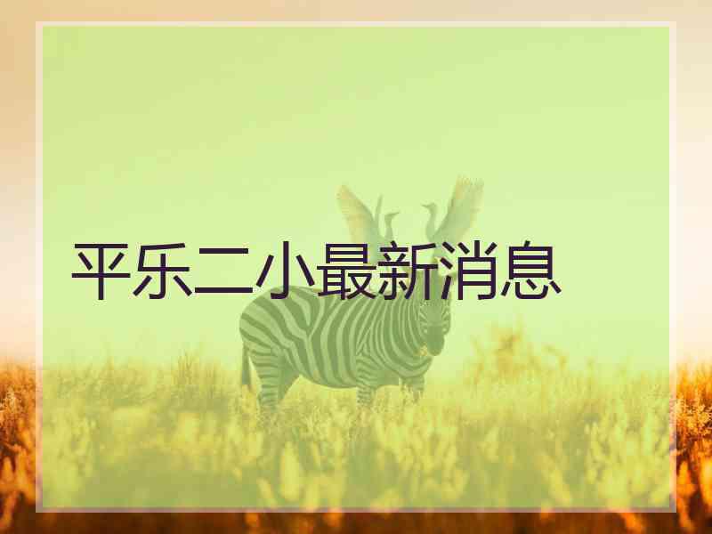 平乐二小最新消息