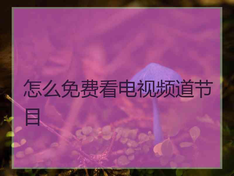 怎么免费看电视频道节目