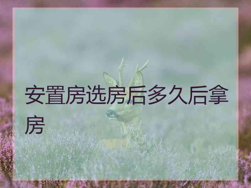 安置房选房后多久后拿房