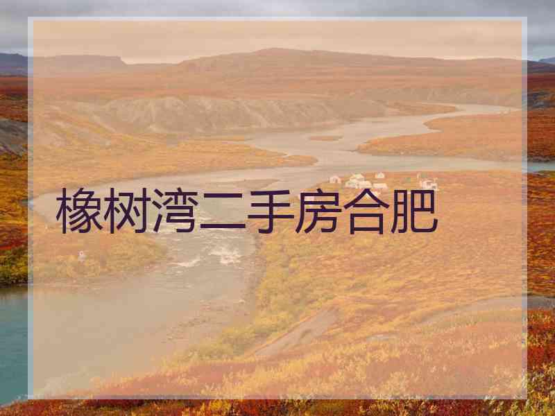 橡树湾二手房合肥