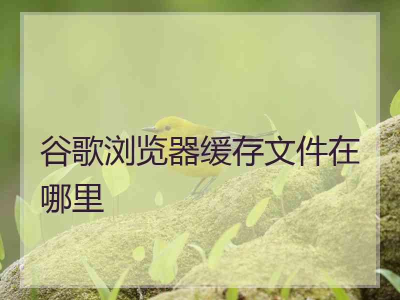 谷歌浏览器缓存文件在哪里