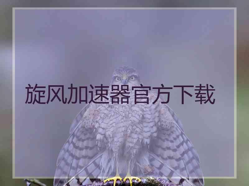 旋风加速器官方下载