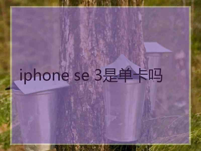 iphone se 3是单卡吗