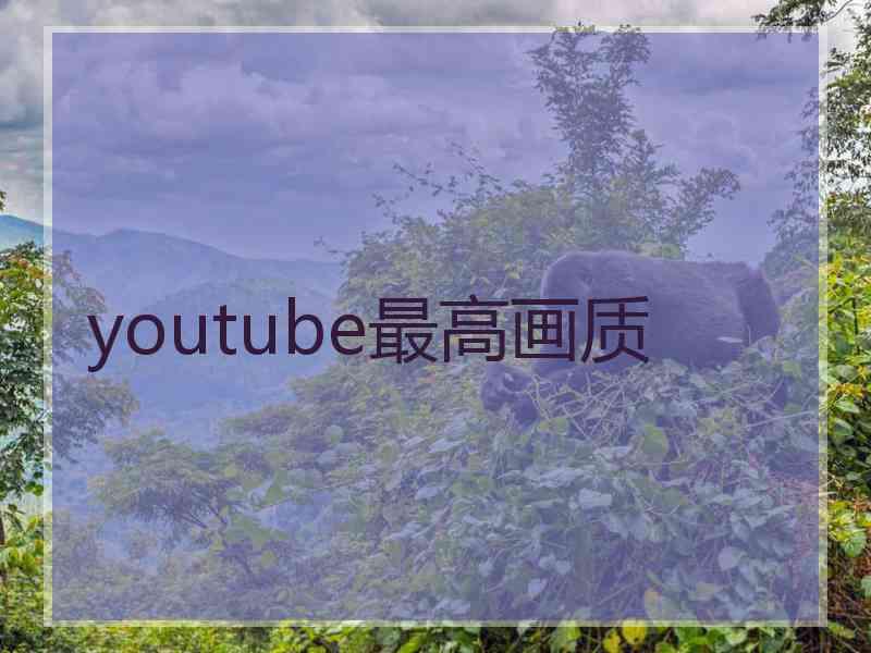 youtube最高画质