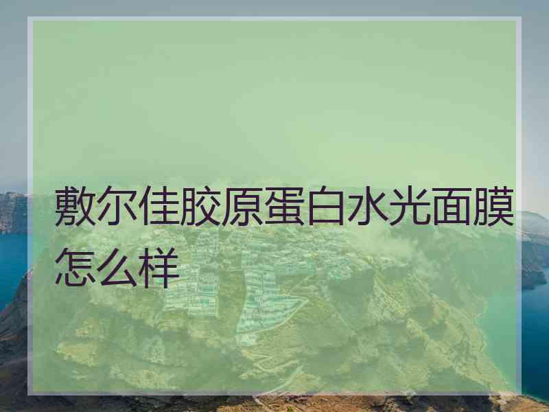 敷尔佳胶原蛋白水光面膜怎么样