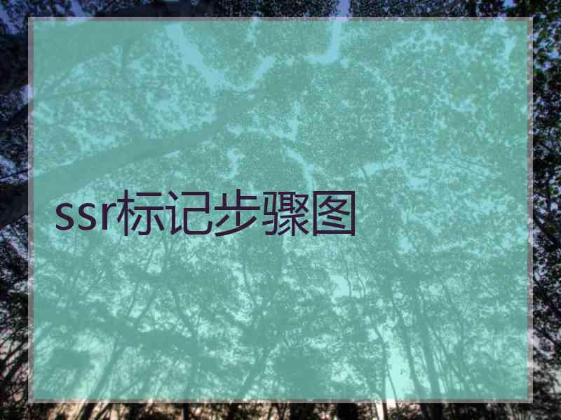 ssr标记步骤图