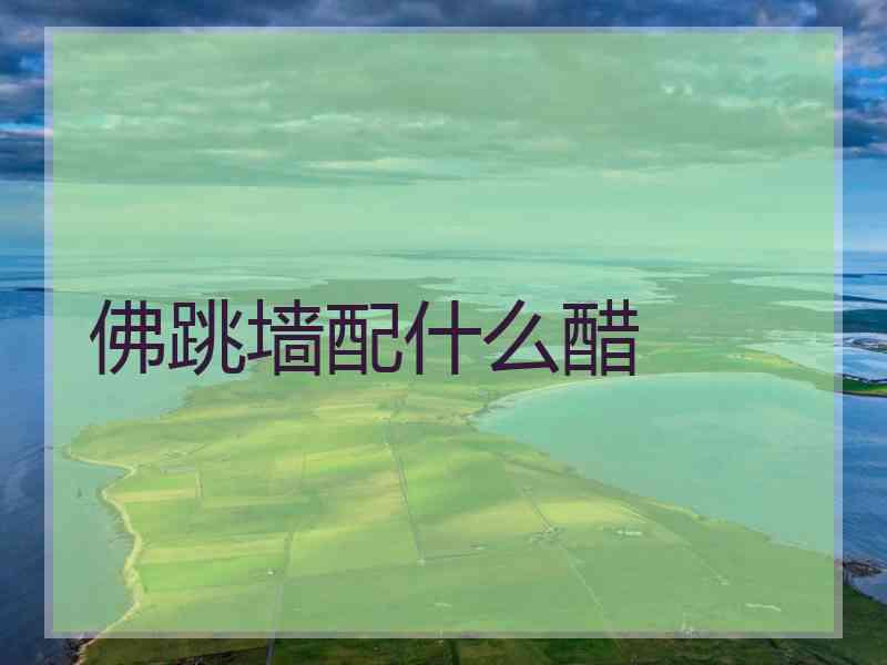 佛跳墙配什么醋