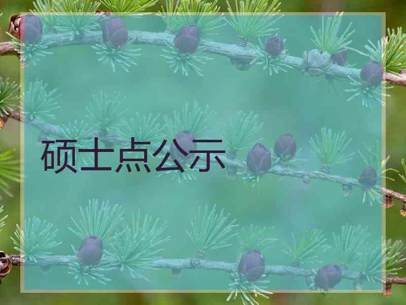 硕士点公示