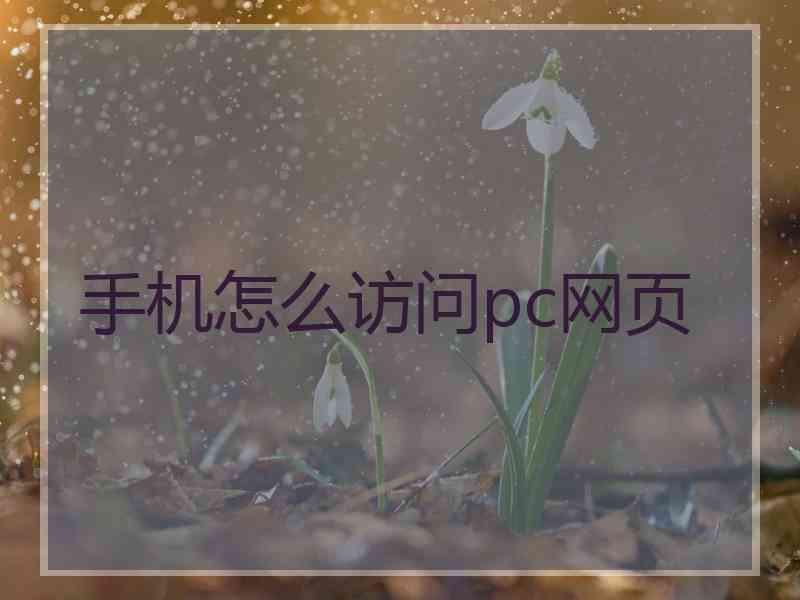 手机怎么访问pc网页