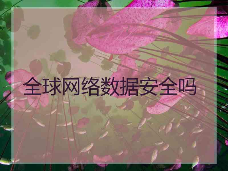 全球网络数据安全吗