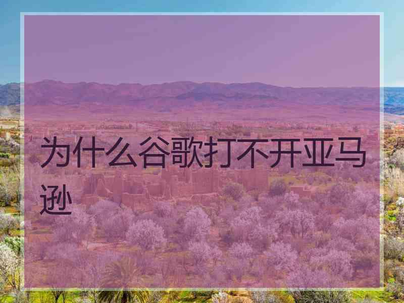 为什么谷歌打不开亚马逊