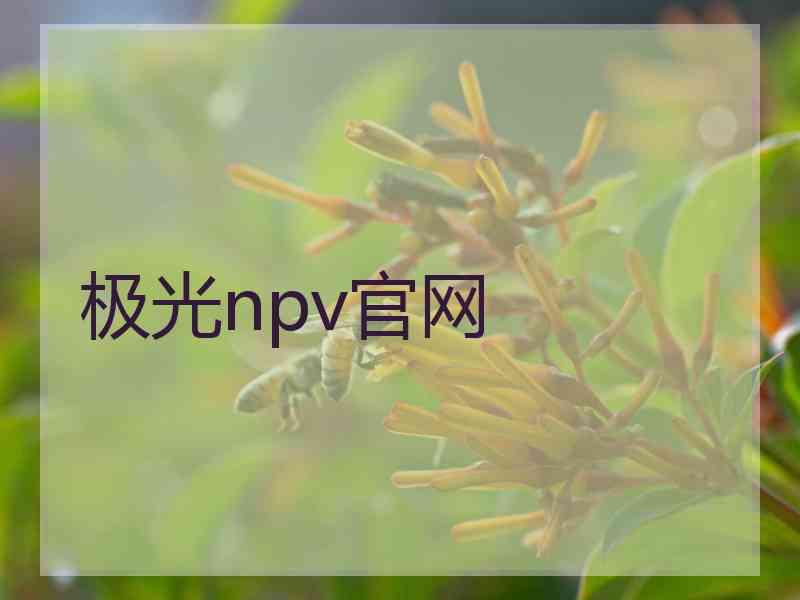 极光npv官网