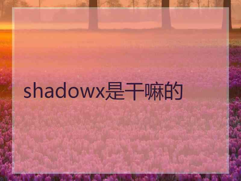 shadowx是干嘛的
