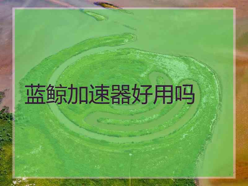 蓝鲸加速器好用吗