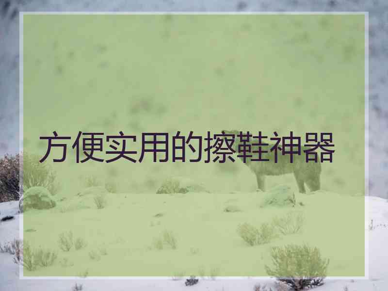 方便实用的擦鞋神器