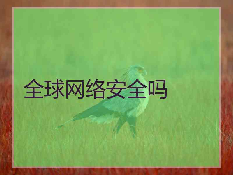 全球网络安全吗