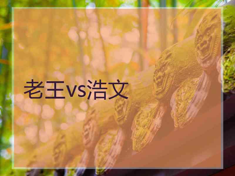 老王vs浩文