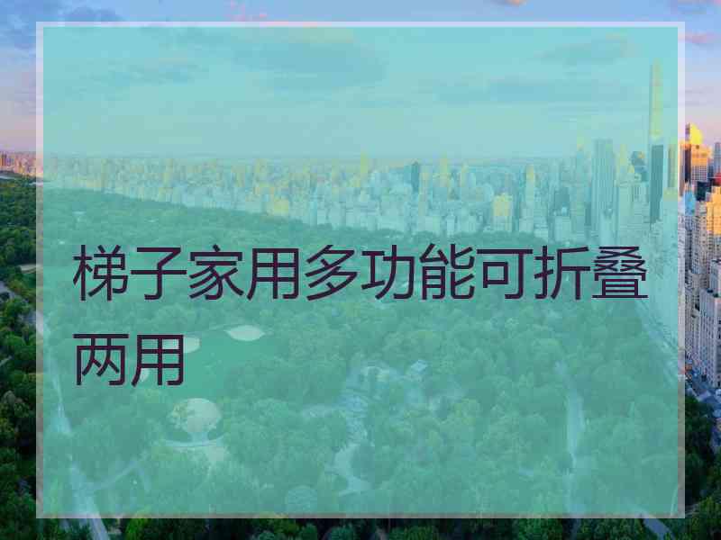 梯子家用多功能可折叠两用