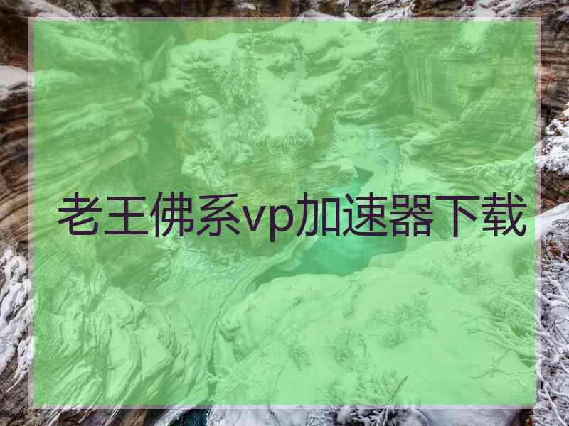 老王佛系vp加速器下载