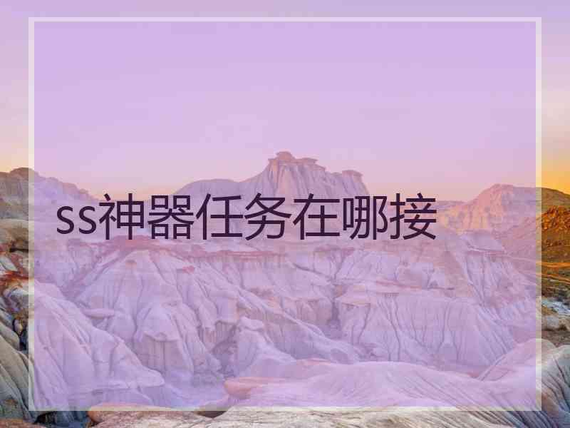 ss神器任务在哪接
