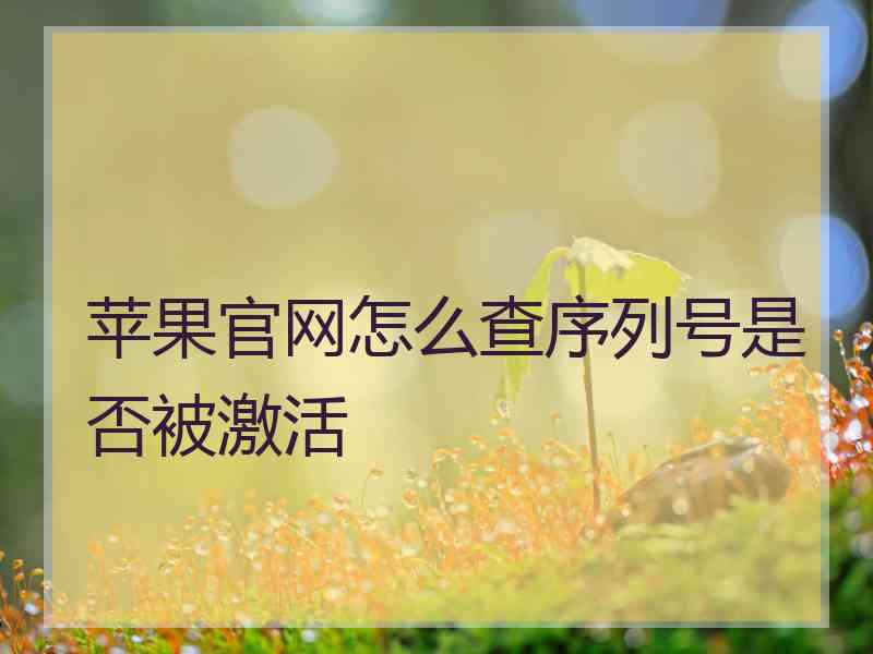 苹果官网怎么查序列号是否被激活