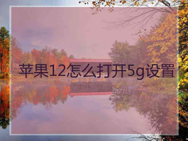 苹果12怎么打开5g设置