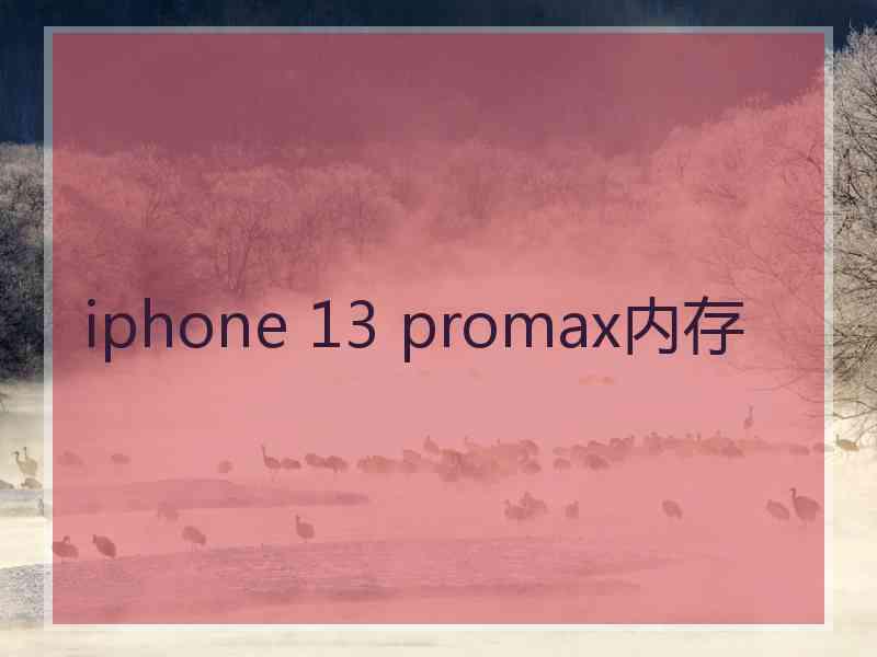 iphone 13 promax内存