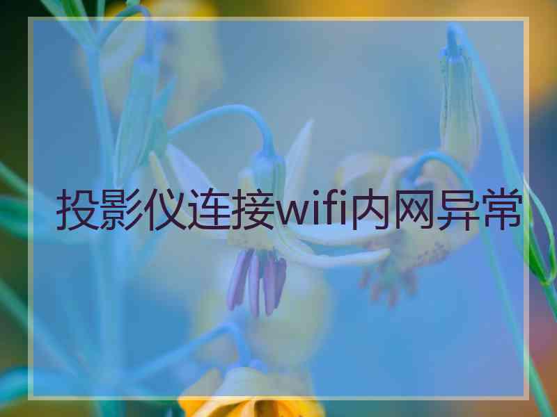 投影仪连接wifi内网异常