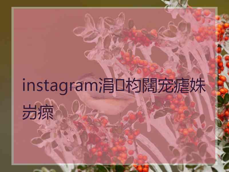 instagram涓枃闊宠瘧姝岃瘝