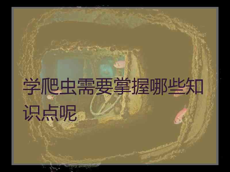 学爬虫需要掌握哪些知识点呢