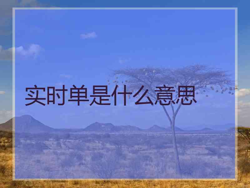 实时单是什么意思