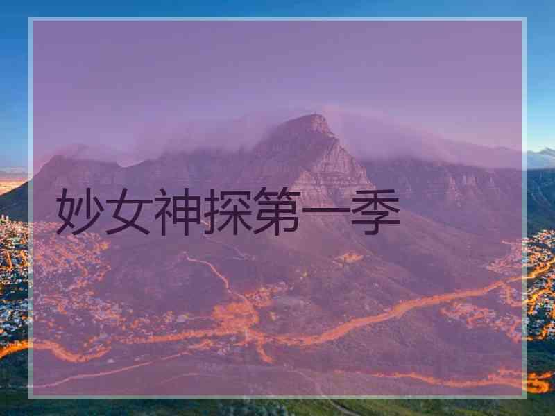 妙女神探第一季