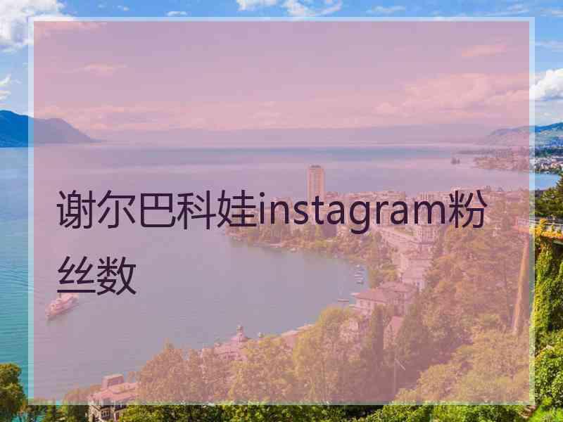 谢尔巴科娃instagram粉丝数