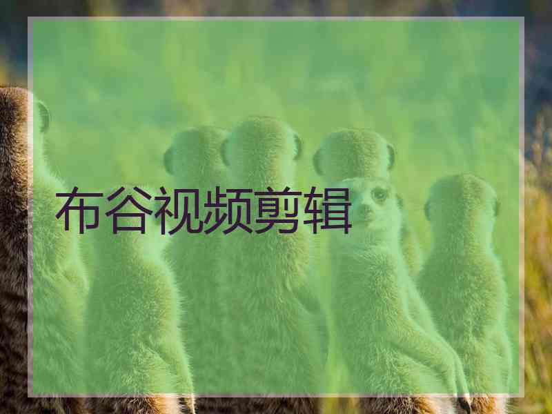 布谷视频剪辑