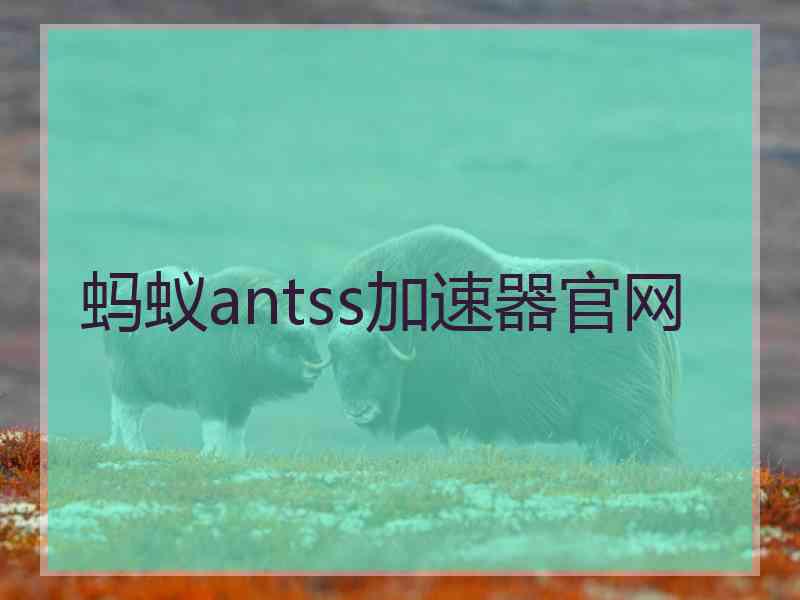 蚂蚁antss加速器官网