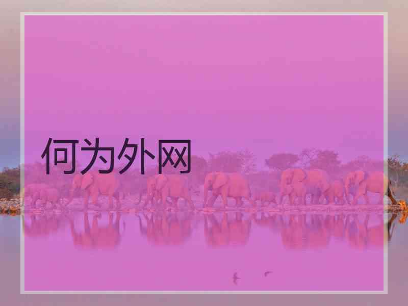 何为外网