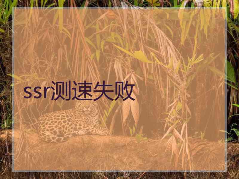 ssr测速失败