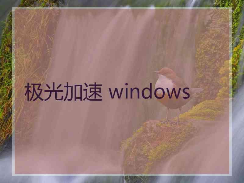 极光加速 windows
