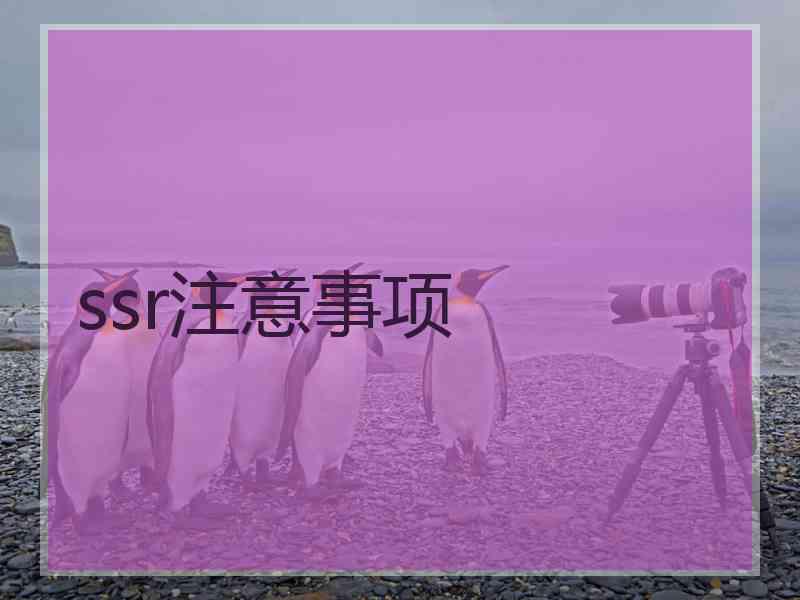 ssr注意事项