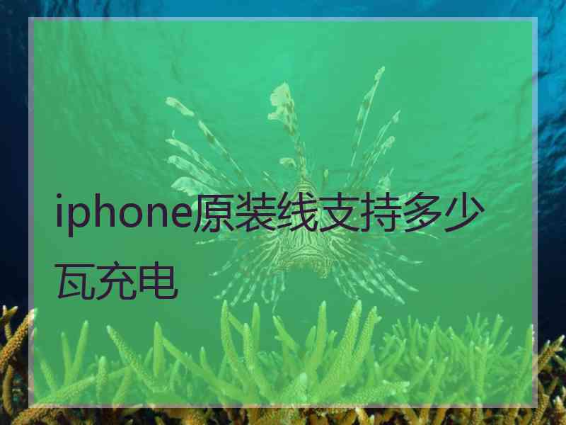 iphone原装线支持多少瓦充电