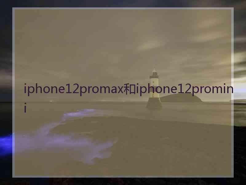 iphone12promax和iphone12promini