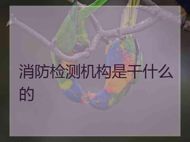 消防检测机构是干什么的