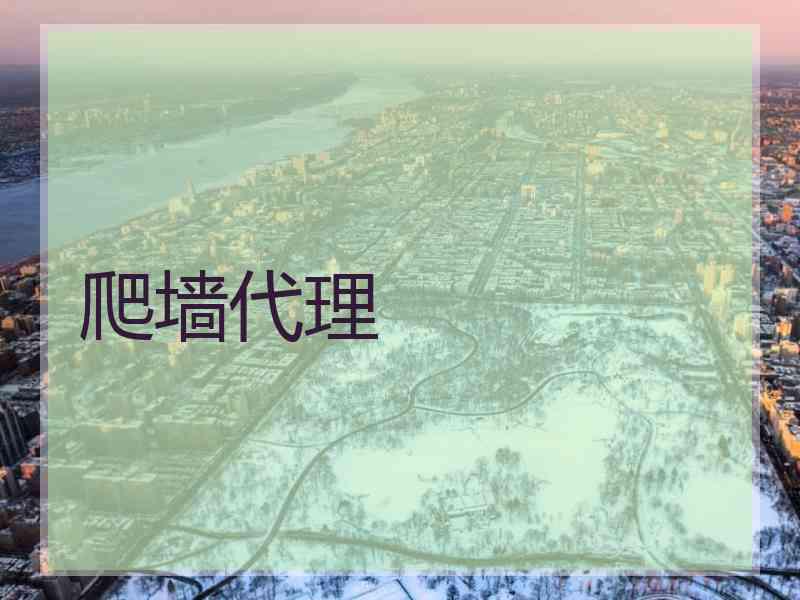 爬墙代理