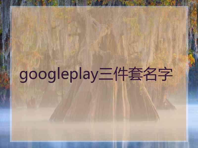 googleplay三件套名字